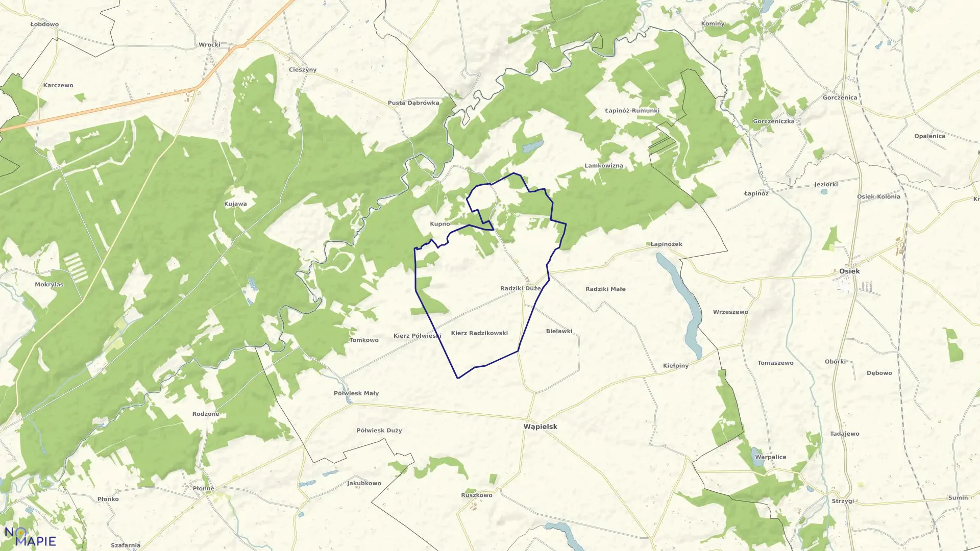 Mapa obrębu Radziki Duże w gminie Wąpielsk