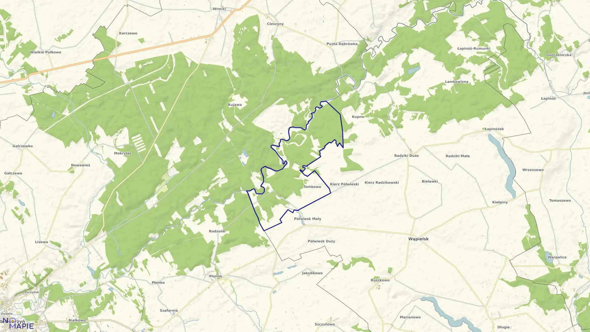 Mapa obrębu Tomkowo w gminie Wąpielsk